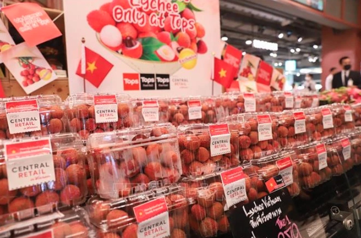 Enterprises urged to grasp Thai consumers’ taste to boost exports